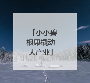 小小碧根果撬动大产业