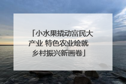 小水果撬动富民大产业 特色农业绘就乡村振兴新画卷