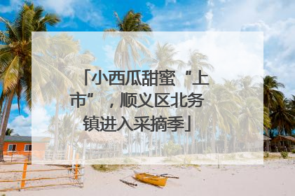小西瓜甜蜜“上市”，顺义区北务镇进入采摘季
