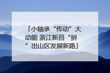 小轴承“传动”大动能 浙江新昌“拼”出山区发展新路