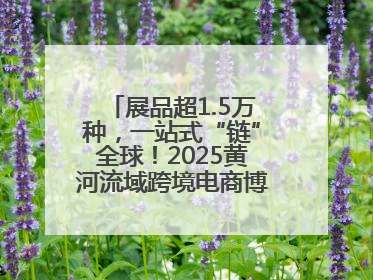 展品超1.5万种，一站式“链”全球！2025黄河流域跨境电商博览会启幕