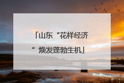 山东“花样经济”焕发蓬勃生机