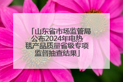 山东省市场监管局公布2024年电热毯产品质量省级专项监督抽查结果