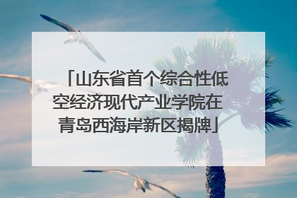 山东省首个综合性低空经济现代产业学院在青岛西海岸新区揭牌