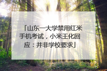 山东一大学禁用红米手机考试，小米王化回应：并非学校要求