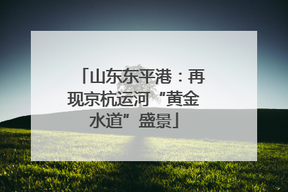 山东东平港：再现京杭运河“黄金水道”盛景