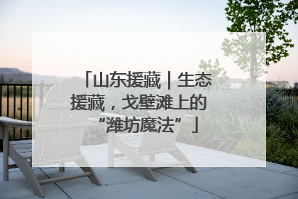 山东援藏｜生态援藏，戈壁滩上的“潍坊魔法”