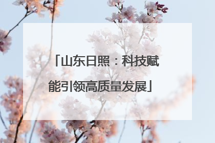 山东日照：科技赋能引领高质量发展
