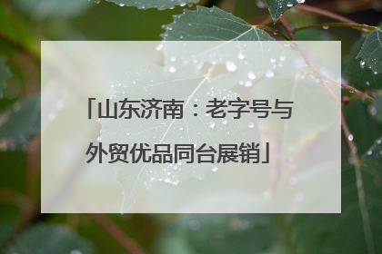 山东济南：老字号与外贸优品同台展销