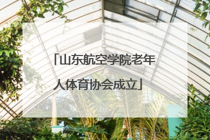 山东航空学院老年人体育协会成立