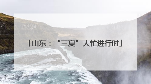 山东：“三夏”大忙进行时