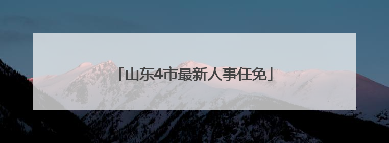 山东4市最新人事任免