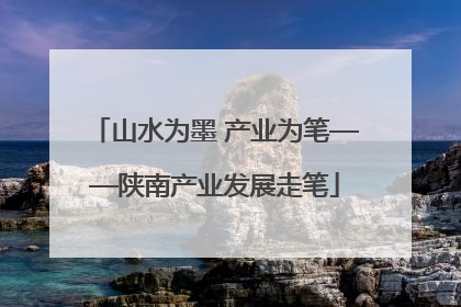 山水为墨 产业为笔——陕南产业发展走笔