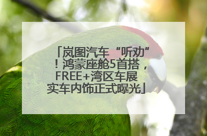 岚图汽车“听劝”！鸿蒙座舱5首搭，FREE+湾区车展实车内饰正式曝光