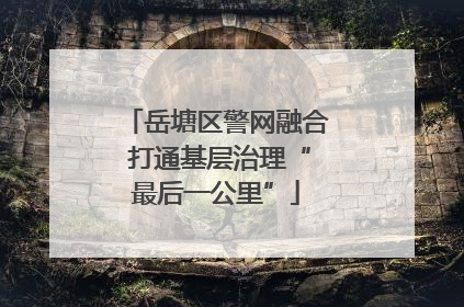 岳塘区警网融合 打通基层治理“最后一公里”