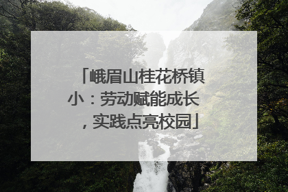 峨眉山桂花桥镇小：劳动赋能成长，实践点亮校园