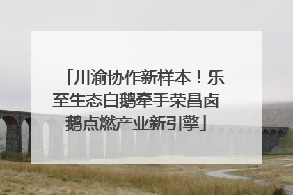 川渝协作新样本！乐至生态白鹅牵手荣昌卤鹅点燃产业新引擎