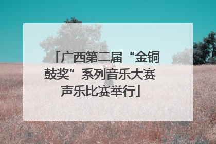 广西第二届“金铜鼓奖”系列音乐大赛声乐比赛举行