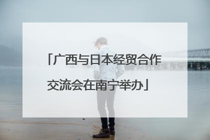 广西与日本经贸合作交流会在南宁举办
