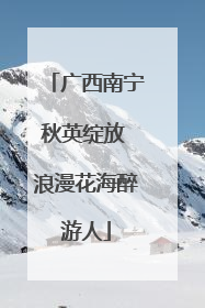 广西南宁秋英绽放 浪漫花海醉游人