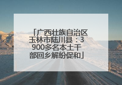 广西壮族自治区玉林市陆川县：3900多名本土干部回乡解纷促和