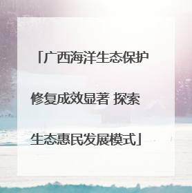 广西海洋生态保护修复成效显著 探索生态惠民发展模式