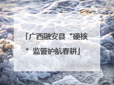广西融安县“硬核”监管护航春耕