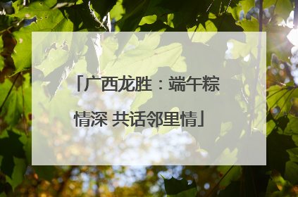 广西龙胜：端午粽情深 共话邻里情