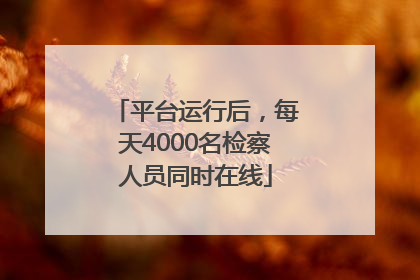 平台运行后，每天4000名检察人员同时在线