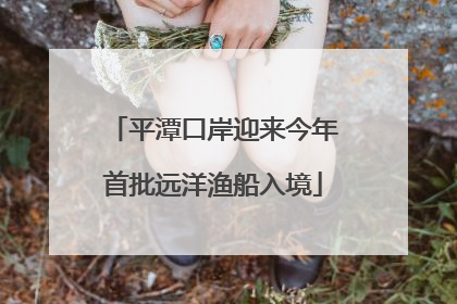 平潭口岸迎来今年首批远洋渔船入境