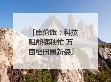 库伦旗：科技赋能插秧忙 万亩稻田展新姿