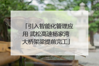 引入智能化管理应用 武松高速杨家湾大桥架梁提前完工