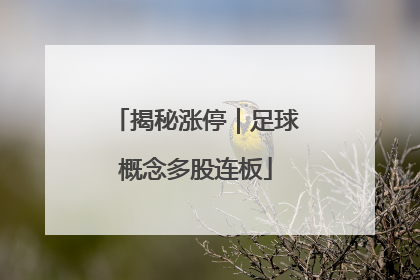 揭秘涨停｜足球概念多股连板