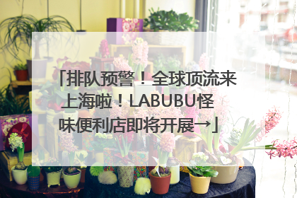 排队预警！全球顶流来上海啦！LABUBU怪味便利店即将开展→