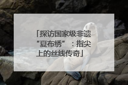 探访国家级非遗“夏布绣”：指尖上的丝线传奇