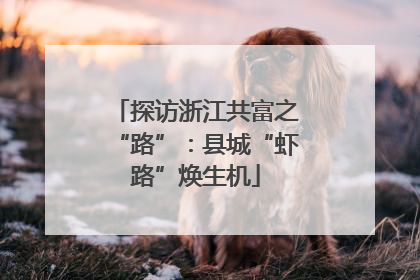 探访浙江共富之“路”：县城“虾路”焕生机