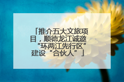 推介五大文旅项目，顺德龙江诚邀“环两江先行区”建设“合伙人”