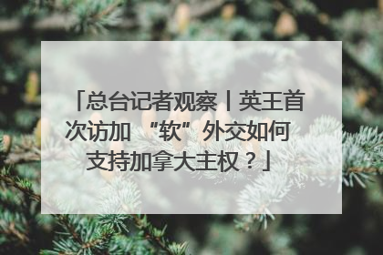 总台记者观察丨英王首次访加 “软”外交如何支持加拿大主权？