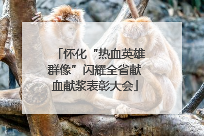 怀化“热血英雄群像”闪耀全省献血献浆表彰大会