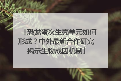 恐龙蛋次生壳单元如何形成？中外最新合作研究揭示生物成因机制