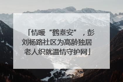 情暖“鹤耋安”，彭刘杨路社区为高龄独居老人织就温情守护网