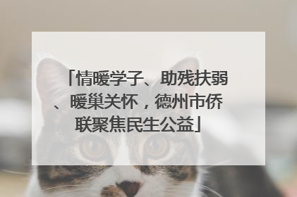 情暖学子、助残扶弱、暖巢关怀，德州市侨联聚焦民生公益