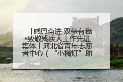 感恩奋进 双争有我•致敬残疾人工作先进集体丨河北省青年志愿者中心（“小橘灯”助残接力计划实施团队）：用温暖陪伴，守护特殊孩子成长