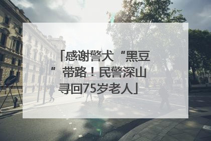 感谢警犬“黑豆”带路！民警深山寻回75岁老人