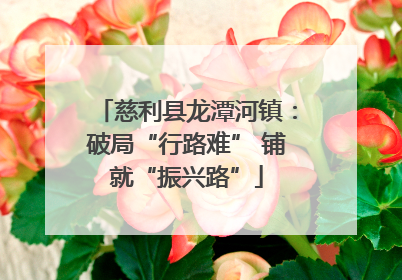 慈利县龙潭河镇：破局“行路难” 铺就“振兴路”