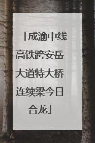 成渝中线高铁跨安岳大道特大桥连续梁今日合龙