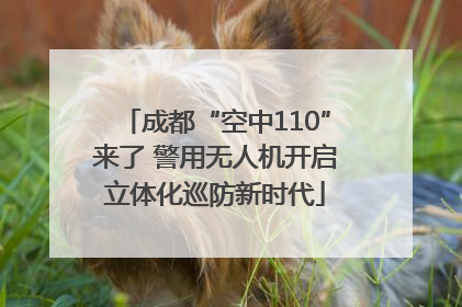 成都“空中110”来了 警用无人机开启立体化巡防新时代