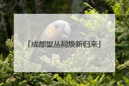 成都望丛祠焕新归来