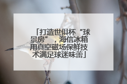 打造世俱杯“球景房”，海信冰箱用真空磁场保鲜技术满足球迷味蕾