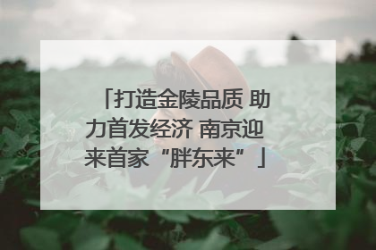 打造金陵品质 助力首发经济 南京迎来首家“胖东来”